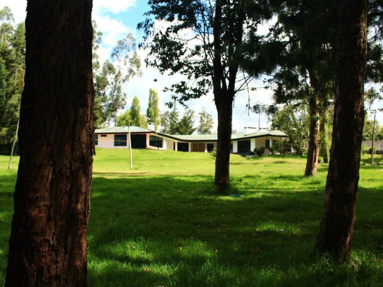 instalaciones 02 1280x960 copia copia 768x576